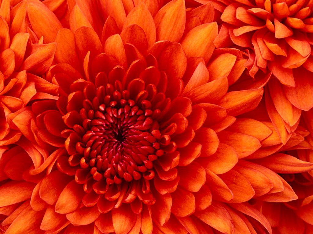 https://esqooel.cloud/pusat//assets/images/temp/2119990296_3.jpg